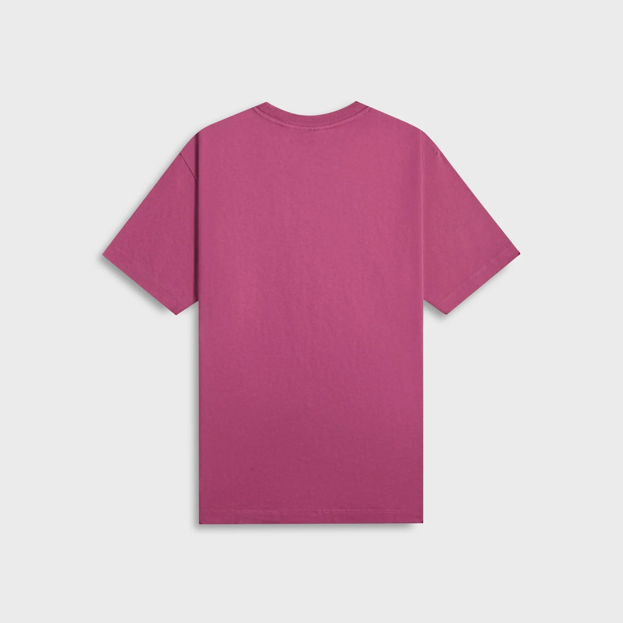 Slim Silhouette by Parra The Confession Tee - Purple