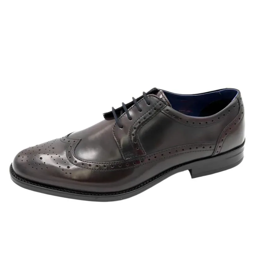 Dubarry Mens Shoe Dickson Burgundy Midday Walk Urban Office