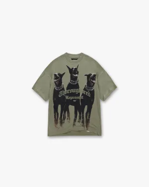 Thoroughbred T-Shirt - Khaki Curved Hemline
