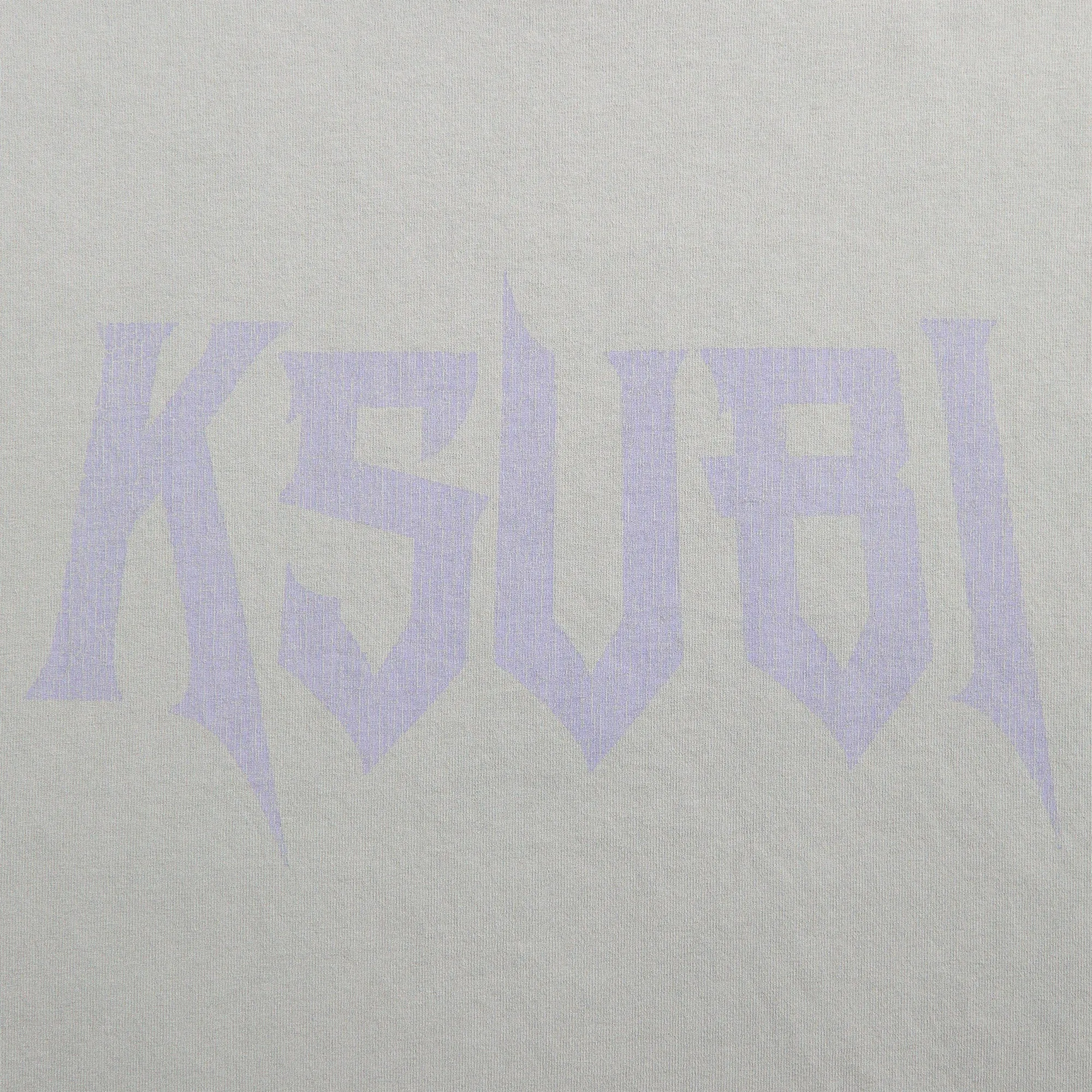 Ksubi Blasted Ekcess Short Sleeve Tee - Smoke Grey anniversary