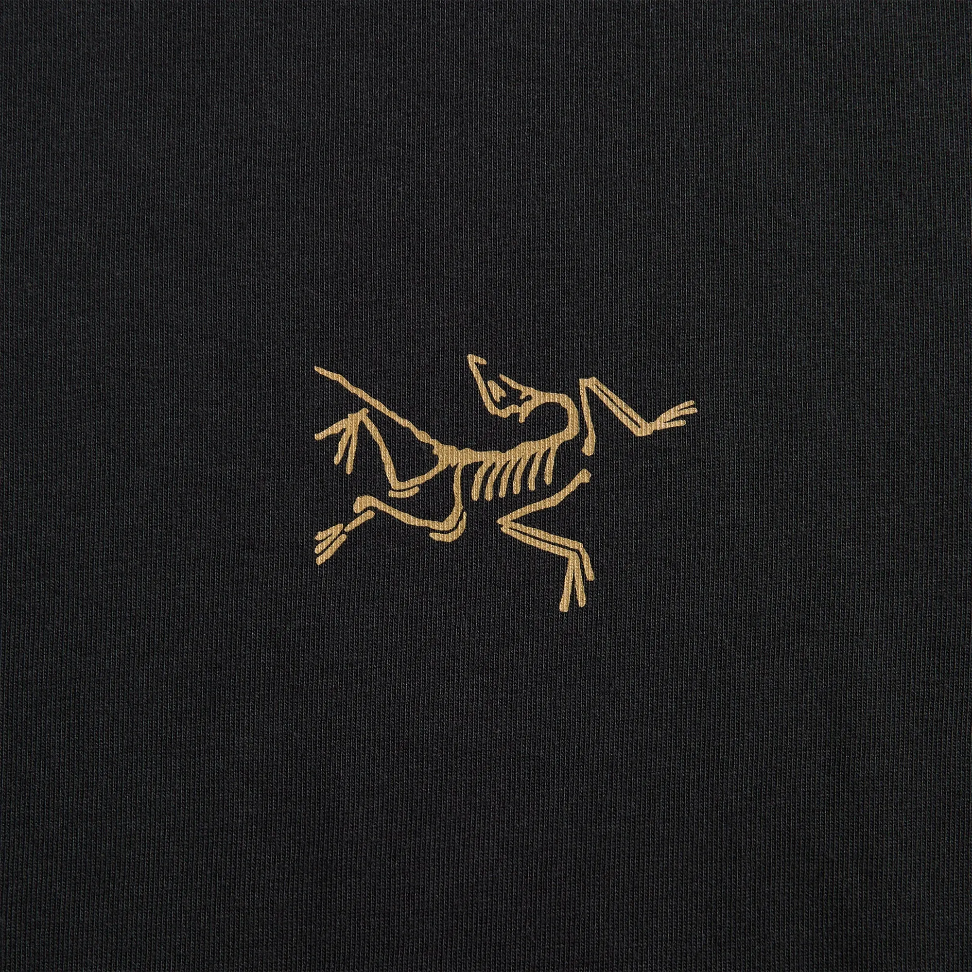 Set In Sleeve Arc'teryx Kragg Cotton Long Sleeve - 24K Black