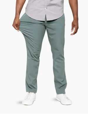 All Occasion Spruces