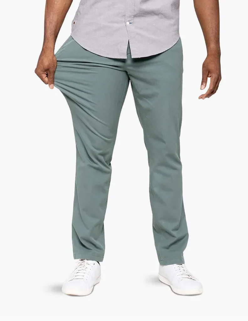 All Occasion Spruces